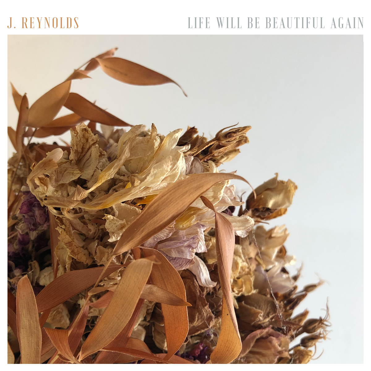 J. Reynolds / Life Will Be Beautiful Again